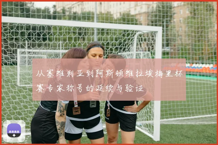 从塞维利亚到阿斯顿维拉埃梅里杯赛专家称号的延续与验证