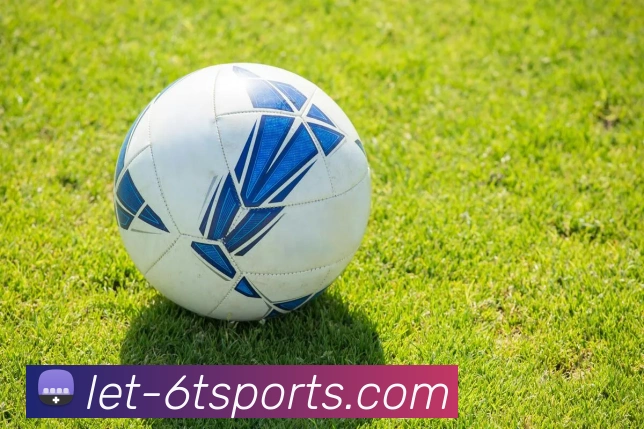 6T体育平台生态图